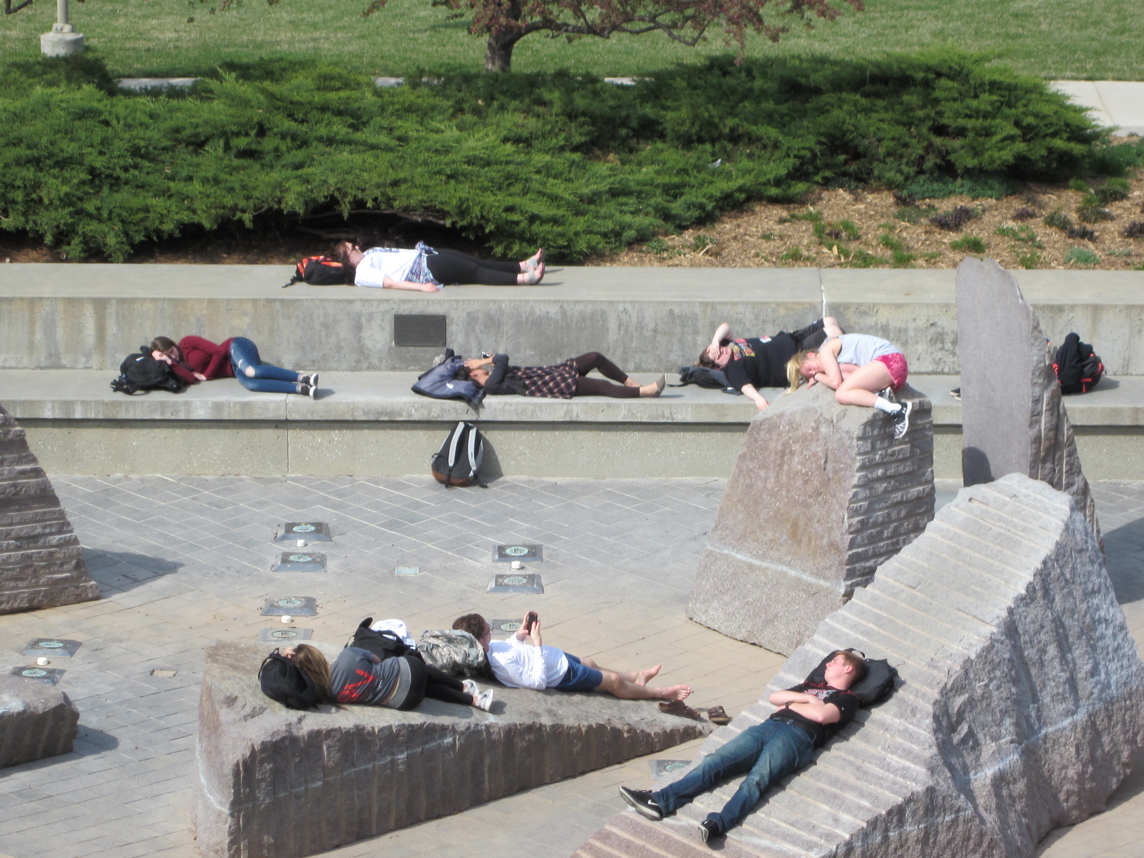 Students sleep in a fountain for social experiment 