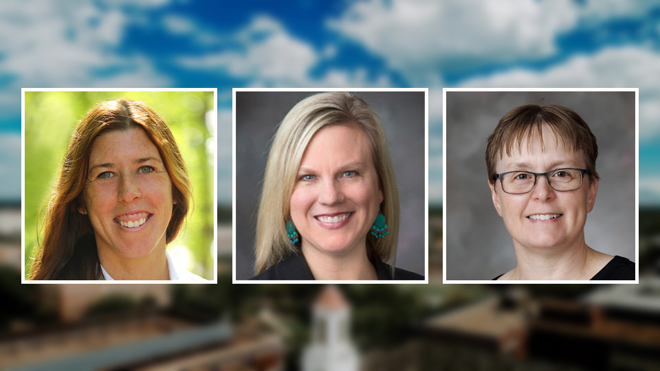 3 CAS faculty chosen to participate in Big Ten leadership programs