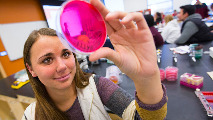 The University of Nebraska–Lincoln is part of a recently announced Lincoln STEM Ecosystem aimed at fostering positive STEM interactions for students.